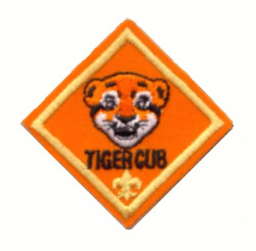 Text Match Alert Hookup Scoutlander Cub Text Match Ambulatory Hookup Scoutlander Cub