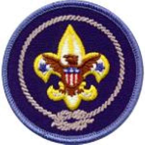 Centennial Recruiter Patch Scouts