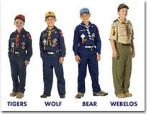 Cub scout adult uniform inspection