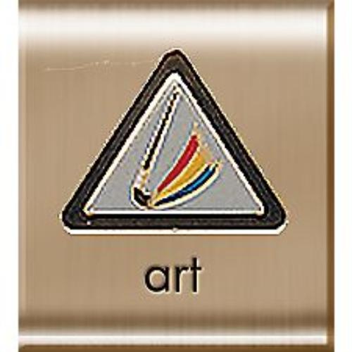 Public Belt Loop & Pins - Cub Scout Pack 117 (Kennewick, Washington)