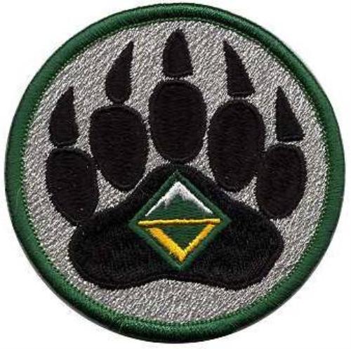 Public BSA HISTORY Boy Scout Troop 127 Nashville Illinois