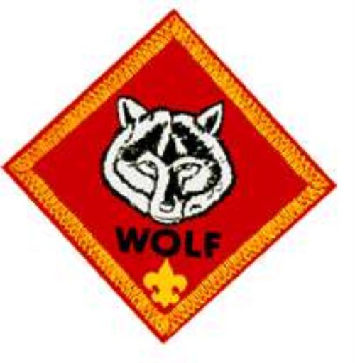 Boy Scout Wolf