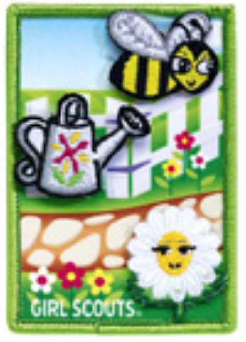 Image Result For Scout Daisy Flower Garden Image Result For Scout Daisy Flower Garden