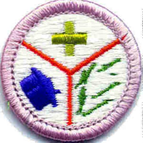 environmental science merit badge