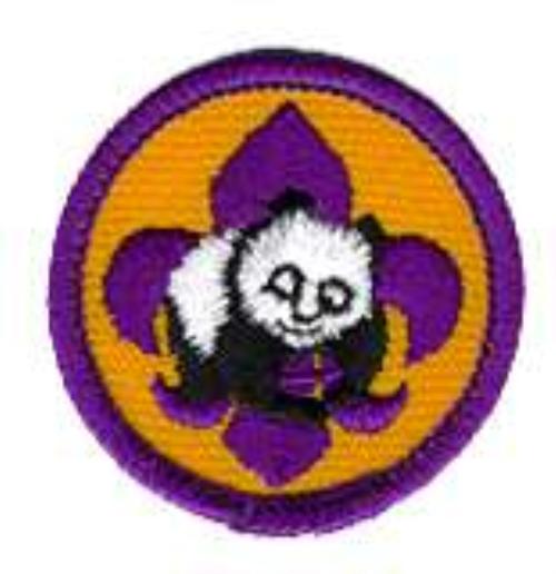 World Conservation Patch Boy Scouts