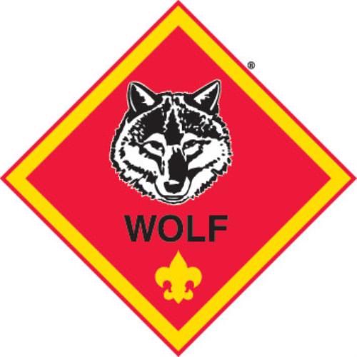 Cub Scout Trained Patch Requirements