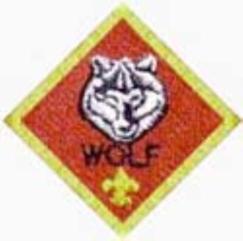 Boy Scout Wolf