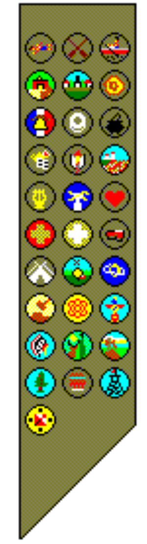 Public Merit Badges - Boy Scout Troop 107 (Reno, Nevada)